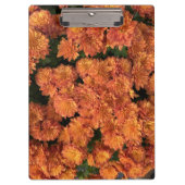 Orange Mums Clipboard Klemmbrett (Vorderseite)