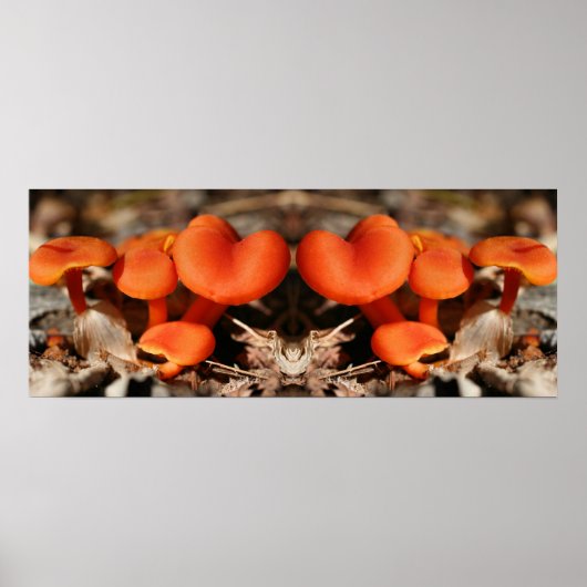Orange Mushroom Family Mirror Abstrakt Poster (Vorne)