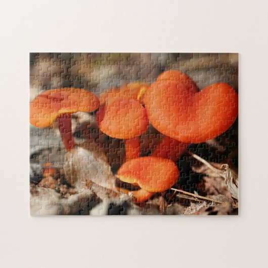 Orange Mushroom Family Nature Puzzle (Horizontal)