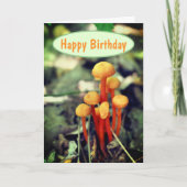 Orange Mushrooms Nature Birthday Karte (Vorderseite)