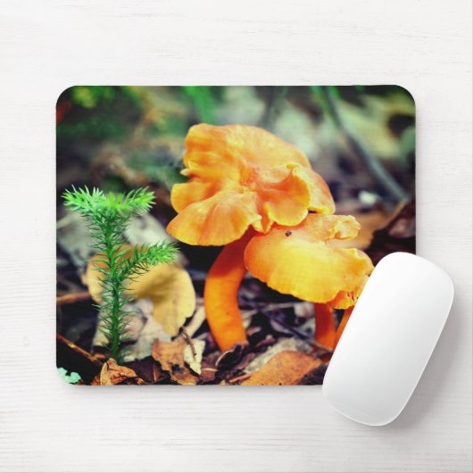Orange Mushrooms Nature Mousepad (Mit Mouse)