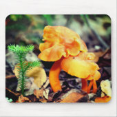 Orange Mushrooms Nature Mousepad (Vorne)