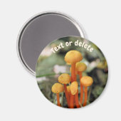 Orange Mushrooms Nature Personalized Magnet (Vorderseite/Rückseite)
