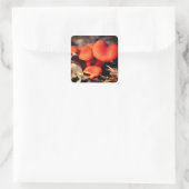 Orange Mushrooms Nature Quadratischer Aufkleber (Tasche)