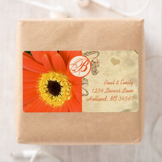 Orange Musical Gerber Daisy Gray Musical Notes (Insitu)