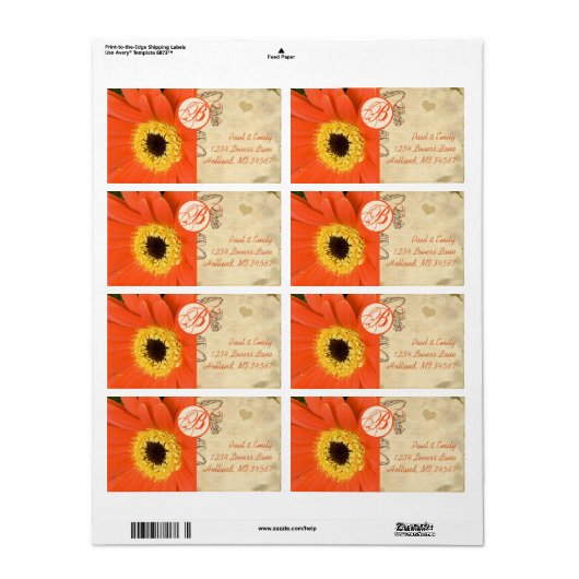 Orange Musical Gerber Daisy Gray Musical Notes (Vorne)