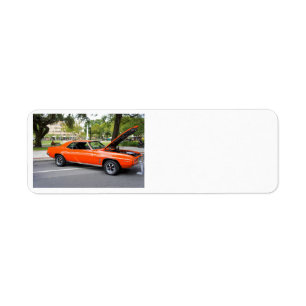 Orange Muskel