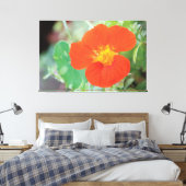 Orange Nasturtium Bloom Leinwanddruck (Insitu (Schlafzimmer))