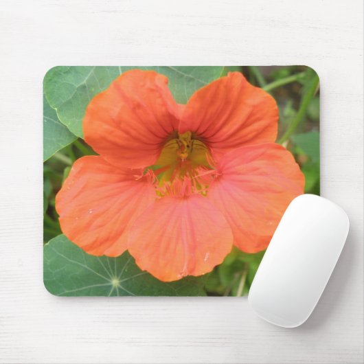 Orange Nasturtium Blume Mousepad (Mit Mouse)