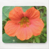 Orange Nasturtium Blume Mousepad (Vorne)