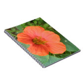 Orange Nasturtium Blume Notebook Notizblock (Rechte Seite)