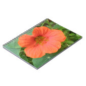 Orange Nasturtium Blume Notebook Notizblock (Linke Seite)