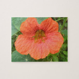 Orange Nasturtium Blume Puzzle