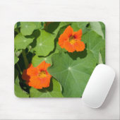 Orange Nasturtium Mouse Pad Mousepad (Mit Mouse)