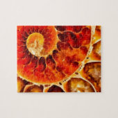 Orange Nautilus Puzzle (Horizontal)