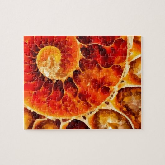 Orange Nautilus Puzzle (Horizontal)