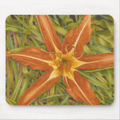 Orange Nova mousepad (Vorne)