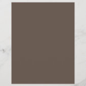 Orange Ombre Circles, Painter & Decorator Flyer (Hinten)