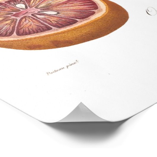 Orange, Orange de Malte Poster (Ecke)