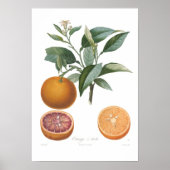 Orange, Orange de Malte Poster (Vorne)