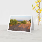 Orange Orchard Landschaft Karte (Gelbe Blume)