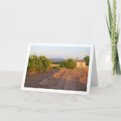 Orange Orchard Landschaft Karte (Vorderseite)