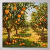 Orange Orchard Poster (Vorne)
