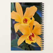Orange Orchid Blooms Floral Notizblock (Rückseite)