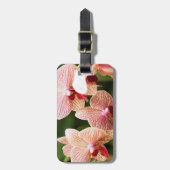 Orange Orchid Hybrid, Südafrika Gepäckanhänger (Vorderseite vertikal)