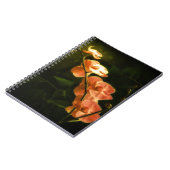 Orange Orchid Notizblock (Linke Seite)