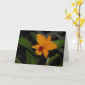 Orange Orchidee Karte (Gelbe Blume)