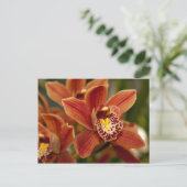 Orange Orchideen-Blumen Postkarte (Stehend Vorderseite)