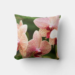 Orange Orchideen-Hybride, Südafrika Kissen