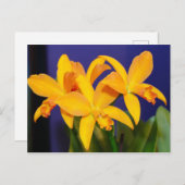 Orange Orchideen im Lila Hintergrund Postkarte (Vorne/Hinten)