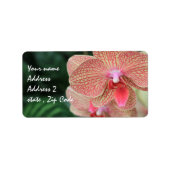 Orange Orchids Adressaufkleber (Vorne)