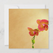 Orange Orchids Geburtstagsparty Einladung (Rückseite)