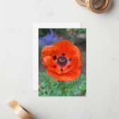 Orange Oriental Poppy & Lavender Blume Mitteilungskarte (Vorderseite/Rückseite Beispiel)