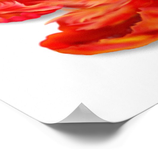 Orange Parrot Tulip Digitale Kunst Poster (Ecke)