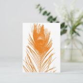 Orange Peacock Feather Postcard Postkarte (Stehend Vorderseite)