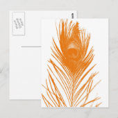 Orange Peacock Feather Postcard Postkarte (Vorne/Hinten)