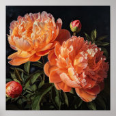 Orange Peonies Blume Art Print Poster (Vorne)
