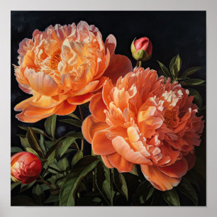 Orange Peonies Blume Art Print Poster