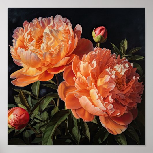 Orange Peonies Blume Art Print Poster (Vorne)
