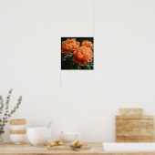 Orange Peonies Blume Art Print Poster (Küche)