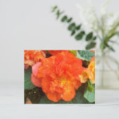 Orange Peony Postkarte (Stehend Vorderseite)