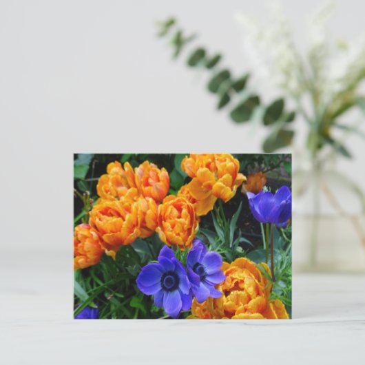 Orange Peony Tulips & Blue Anemones DIREKT Postkar Postkarte (Stehend Vorderseite)