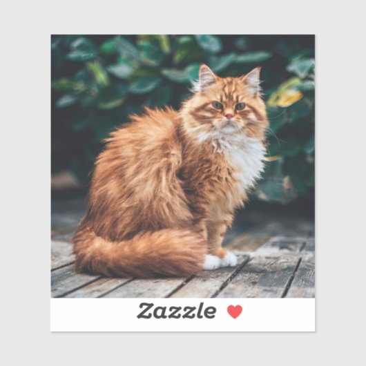 Orange Persian Cat Aufkleber (Blatt)