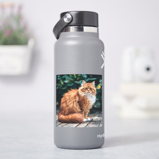 Orange Persian Cat Aufkleber (HydroFlask)