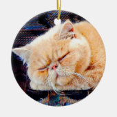 Orange persische Katze Keramik Ornament (Vorne)