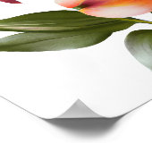 Orange Peruvian Lilies Blume Art Print Poster (Ecke)